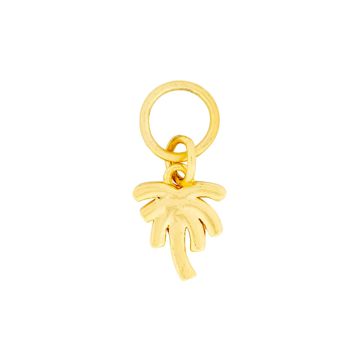 PALMA CHARM